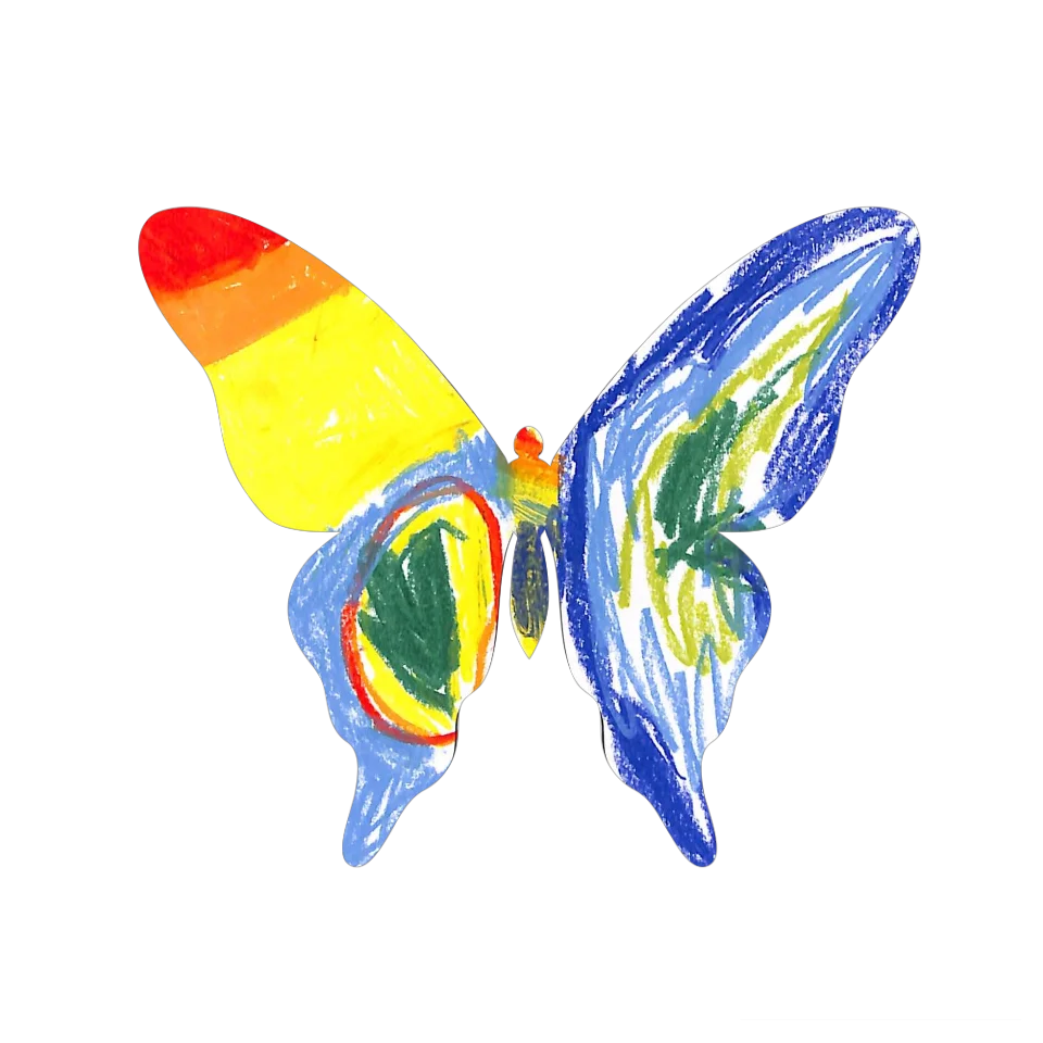 Original Butterfly Image