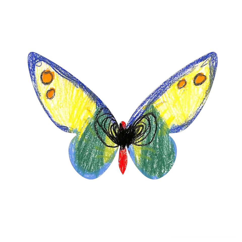 Original Butterfly Image
