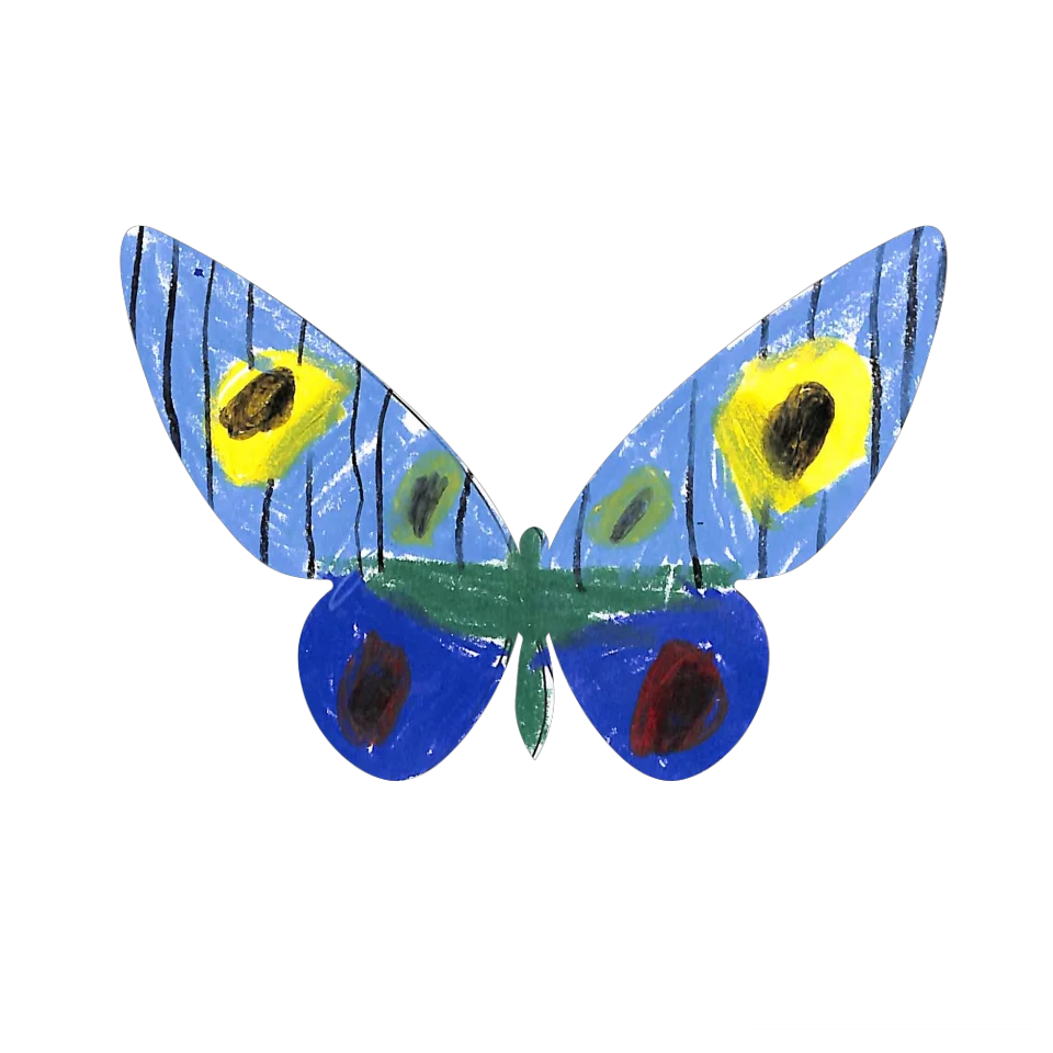 Original Butterfly Image