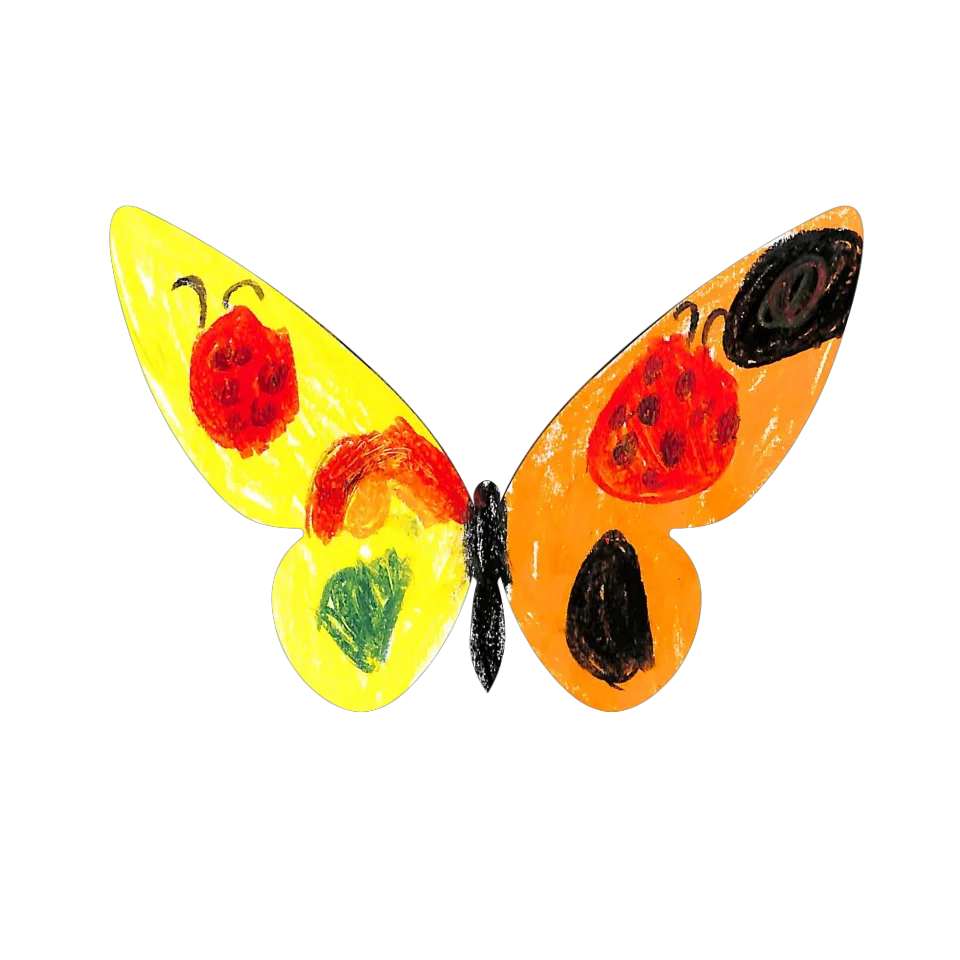 Original Butterfly Image