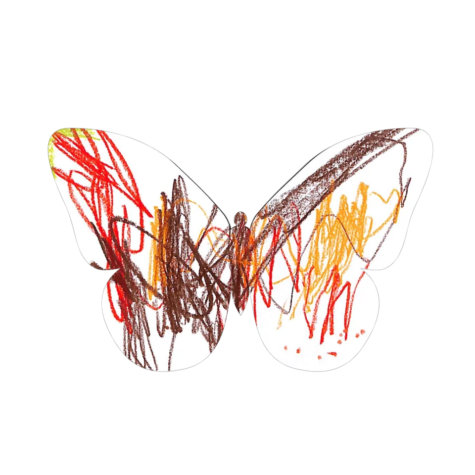 Original Butterfly Image