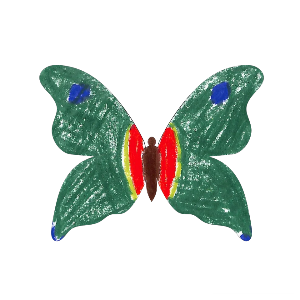 Original Butterfly Image