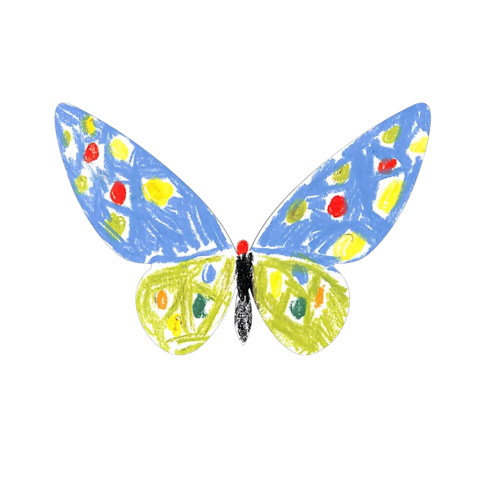 Original Butterfly Image