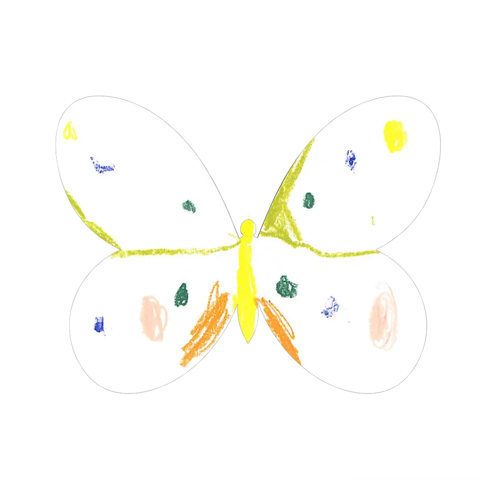 Original Butterfly Image