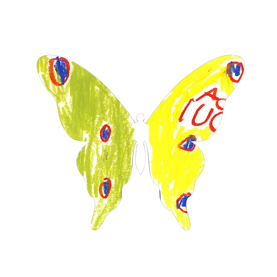 Original Butterfly Image