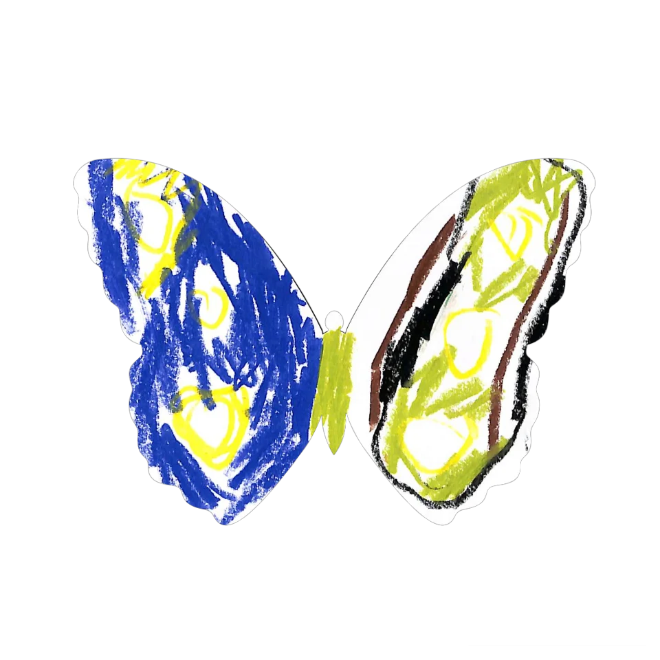 Original Butterfly Image