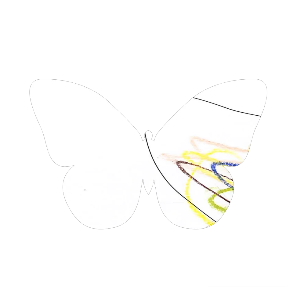 Original Butterfly Image