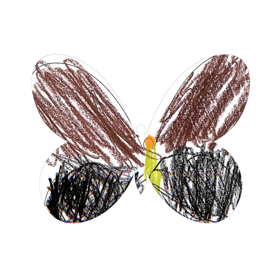 Original Butterfly Image