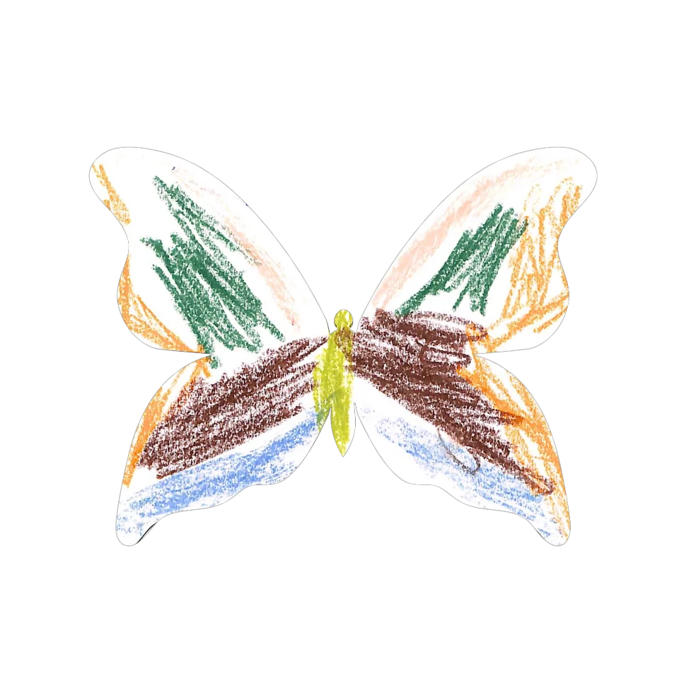 Original Butterfly Image