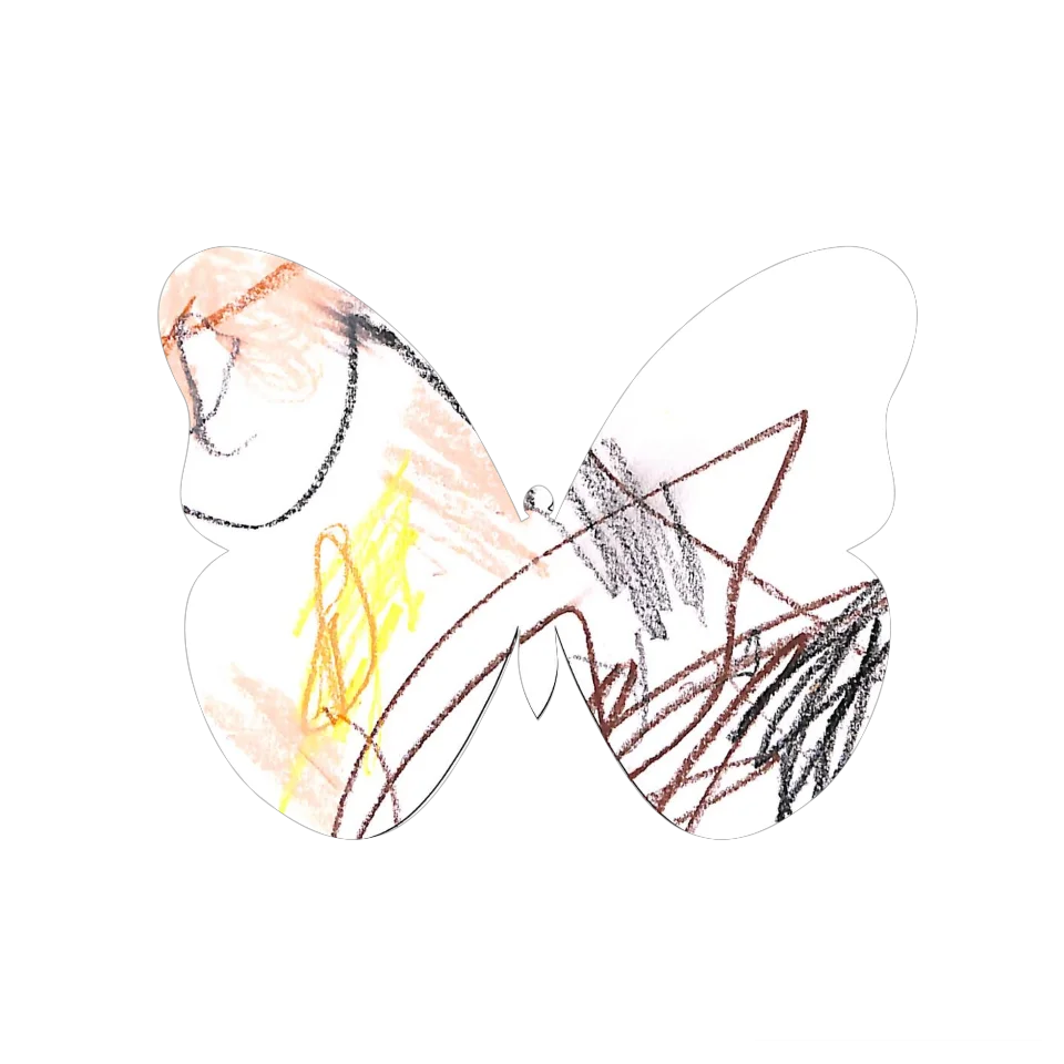 Original Butterfly Image