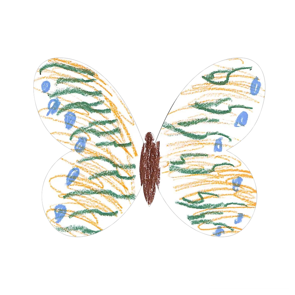 Original Butterfly Image