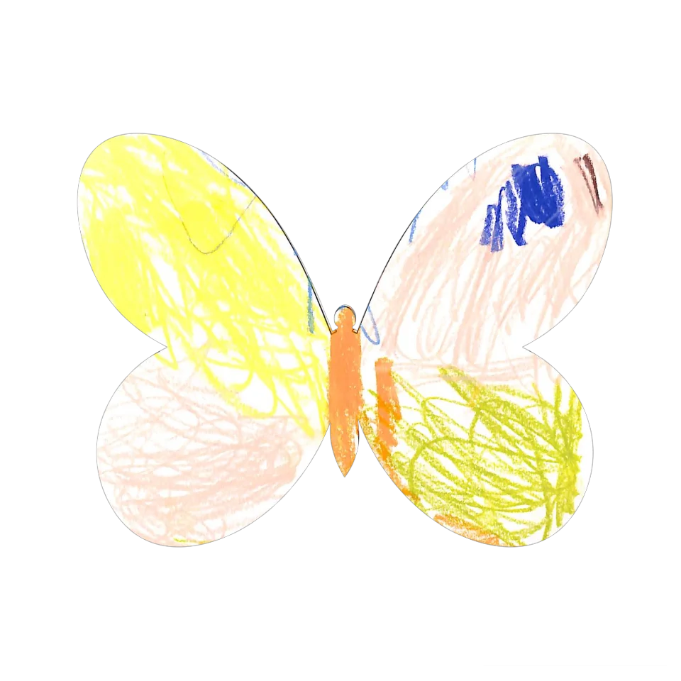 Original Butterfly Image