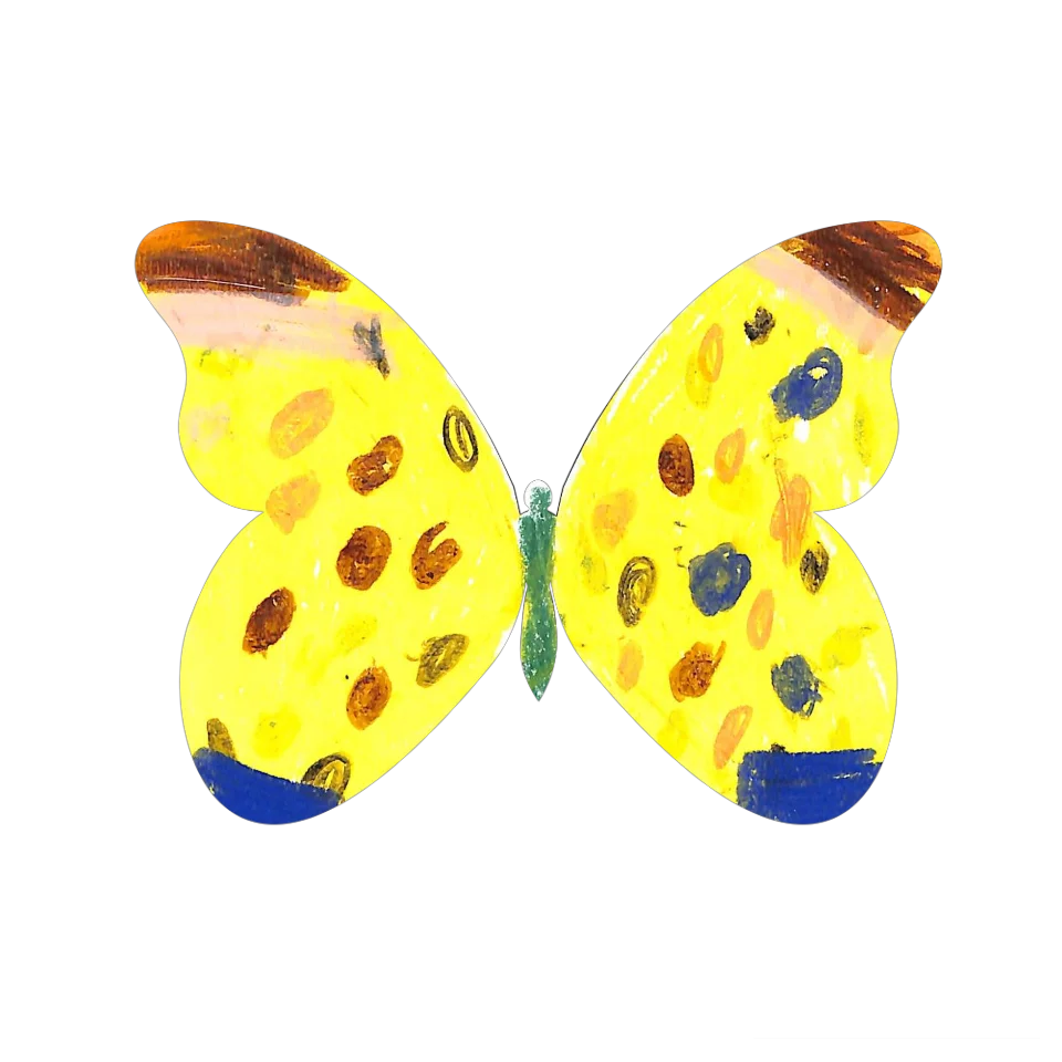Original Butterfly Image