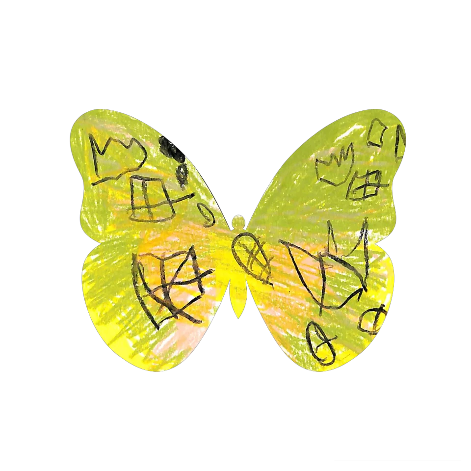 Original Butterfly Image