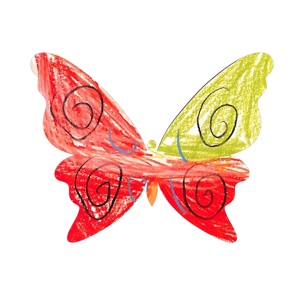 Original Butterfly Image