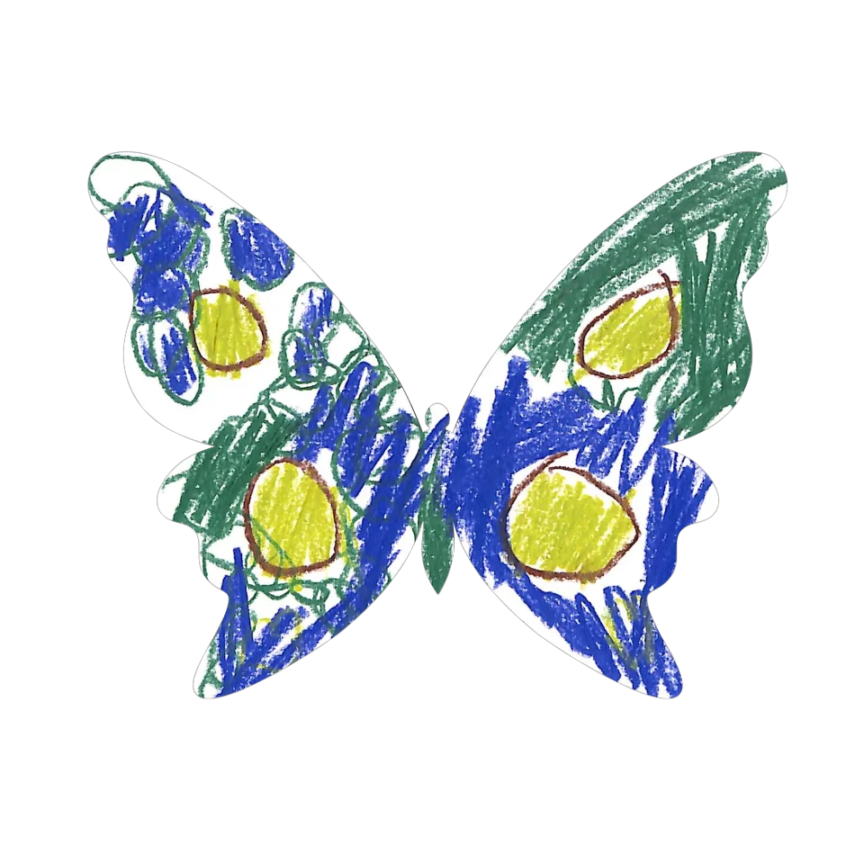 Original Butterfly Image