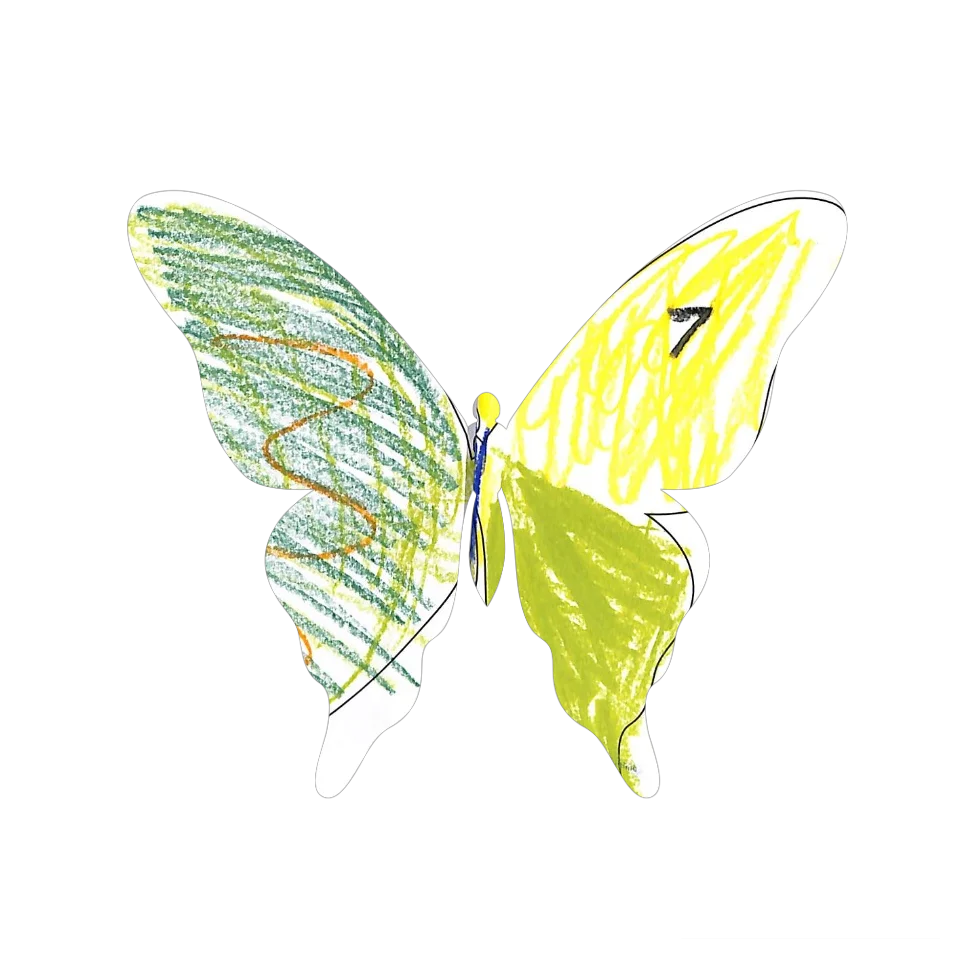 Original Butterfly Image