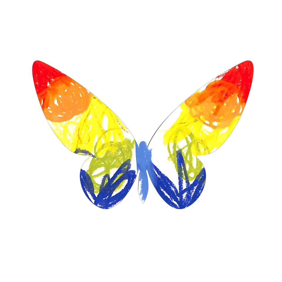 Original Butterfly Image