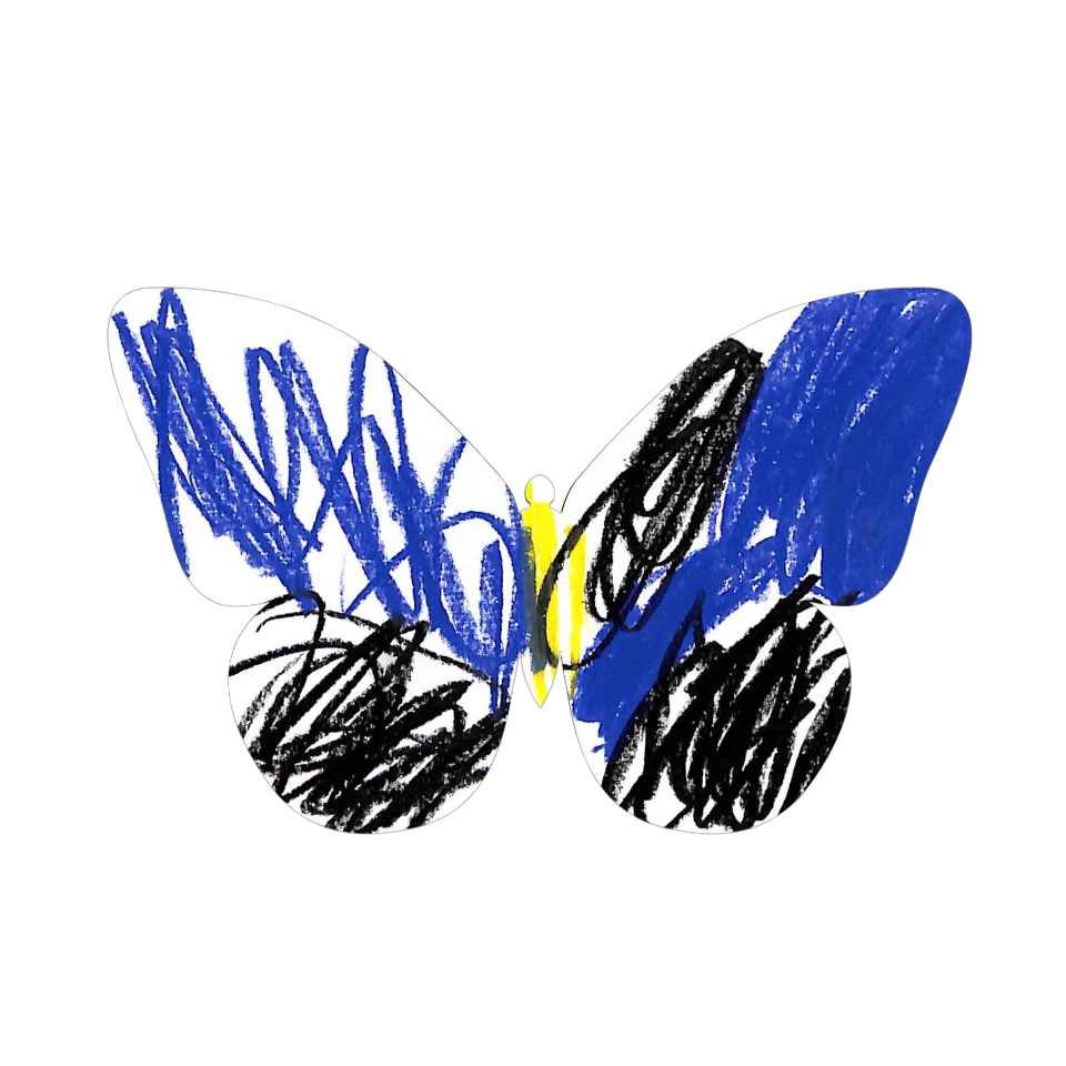 Original Butterfly Image