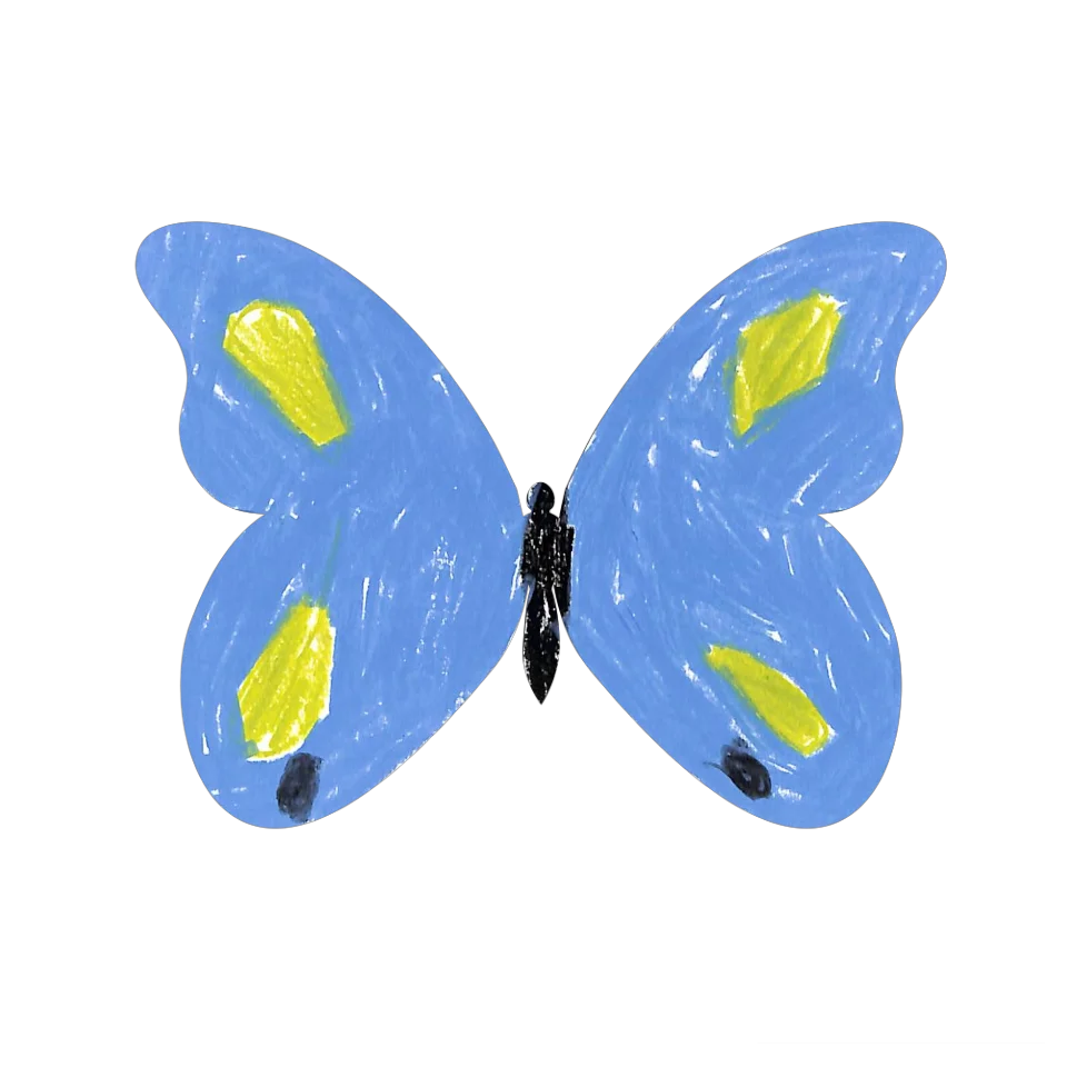 Original Butterfly Image
