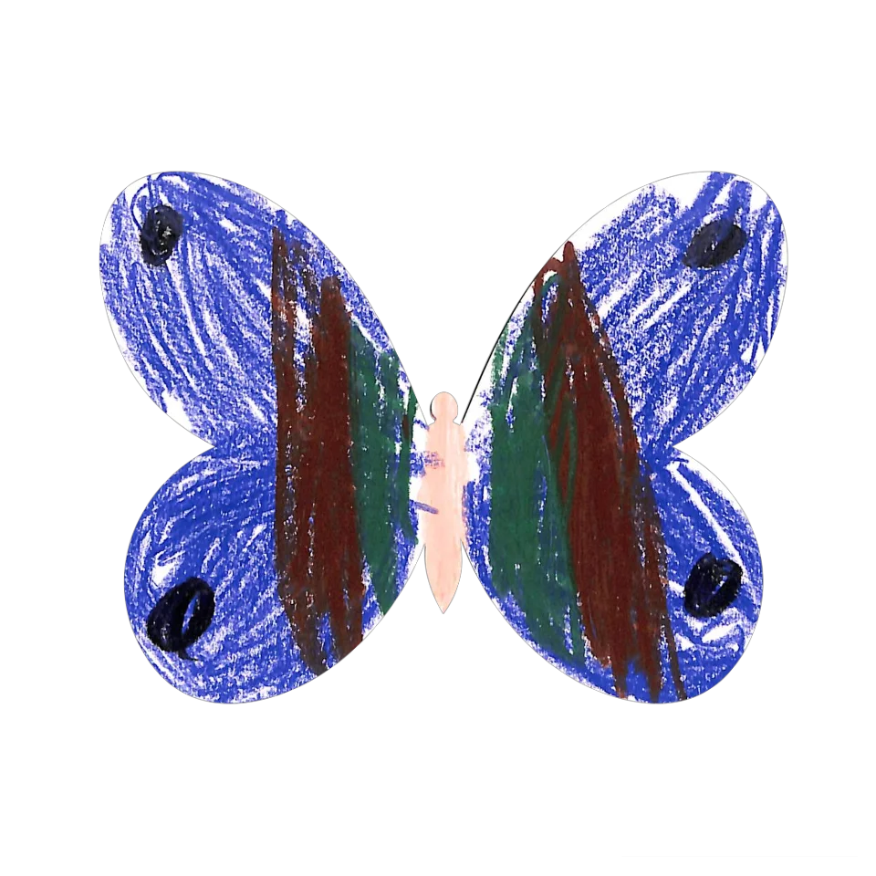 Original Butterfly Image