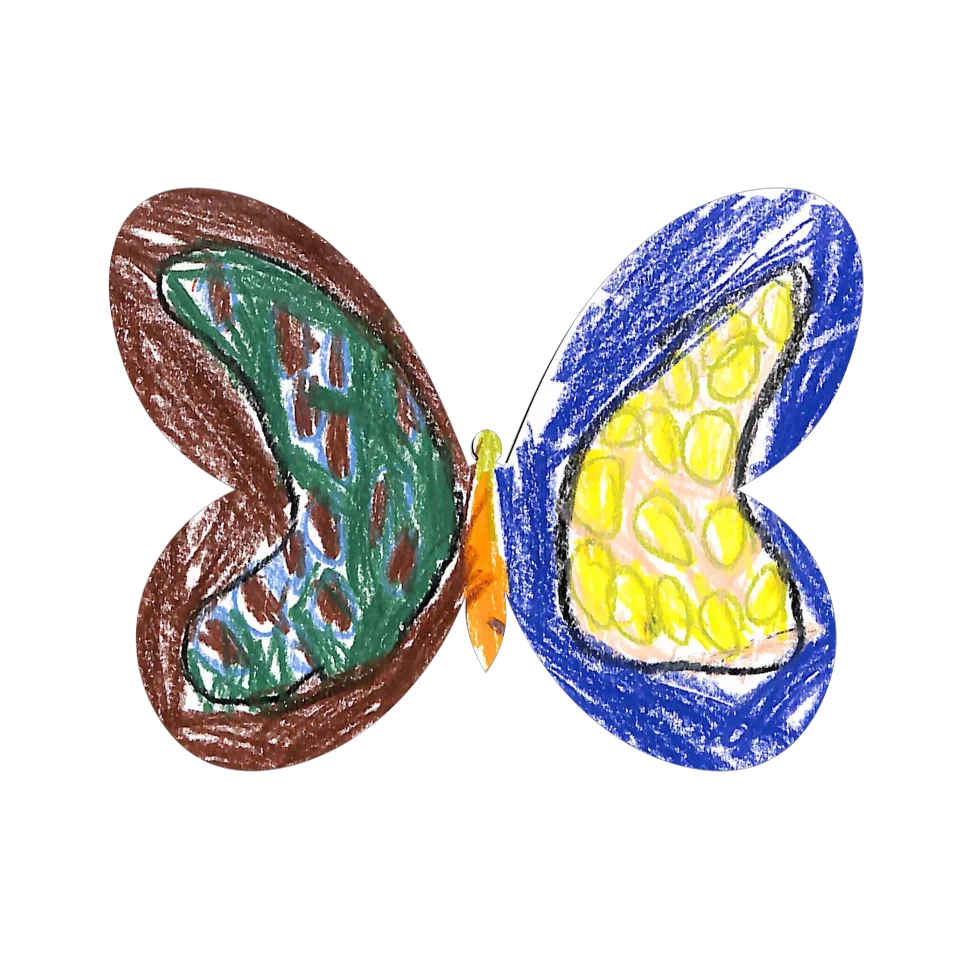 Original Butterfly Image