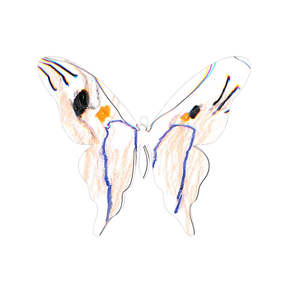 Original Butterfly Image