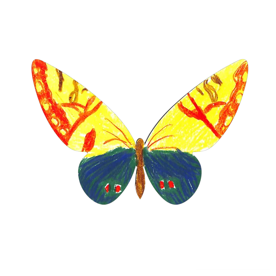 Original Butterfly Image