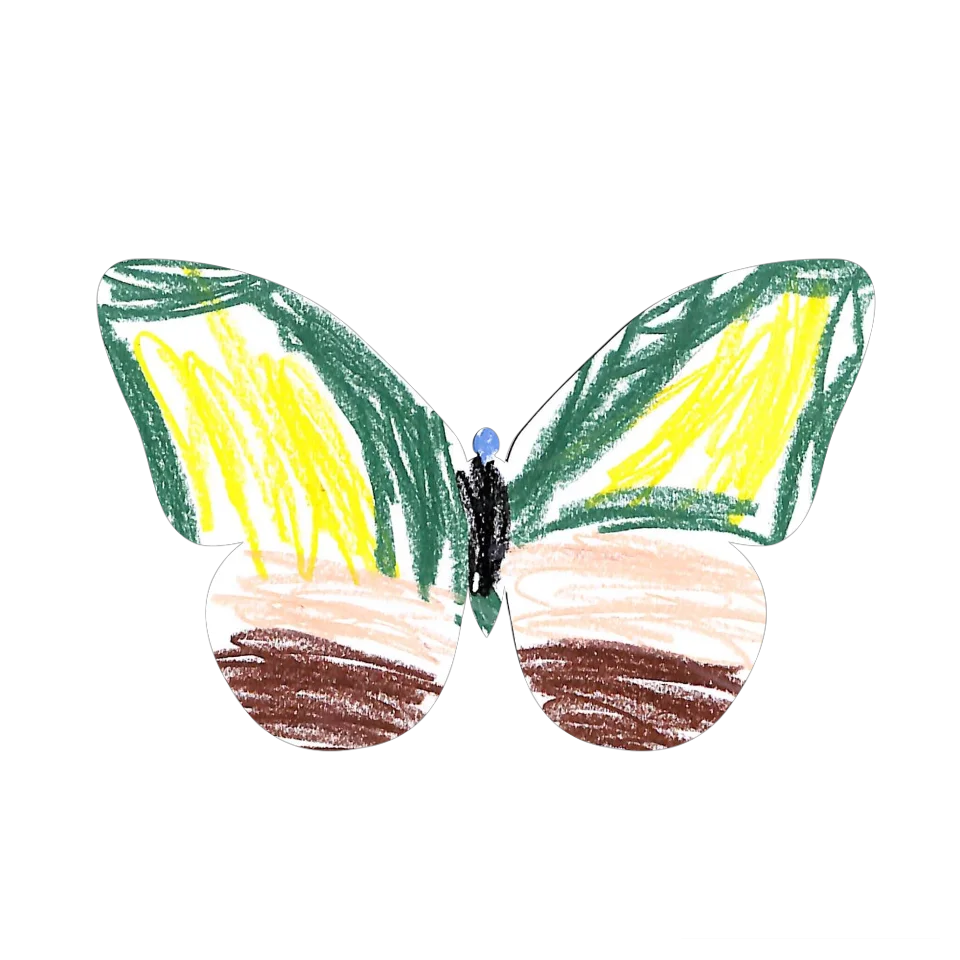 Original Butterfly Image