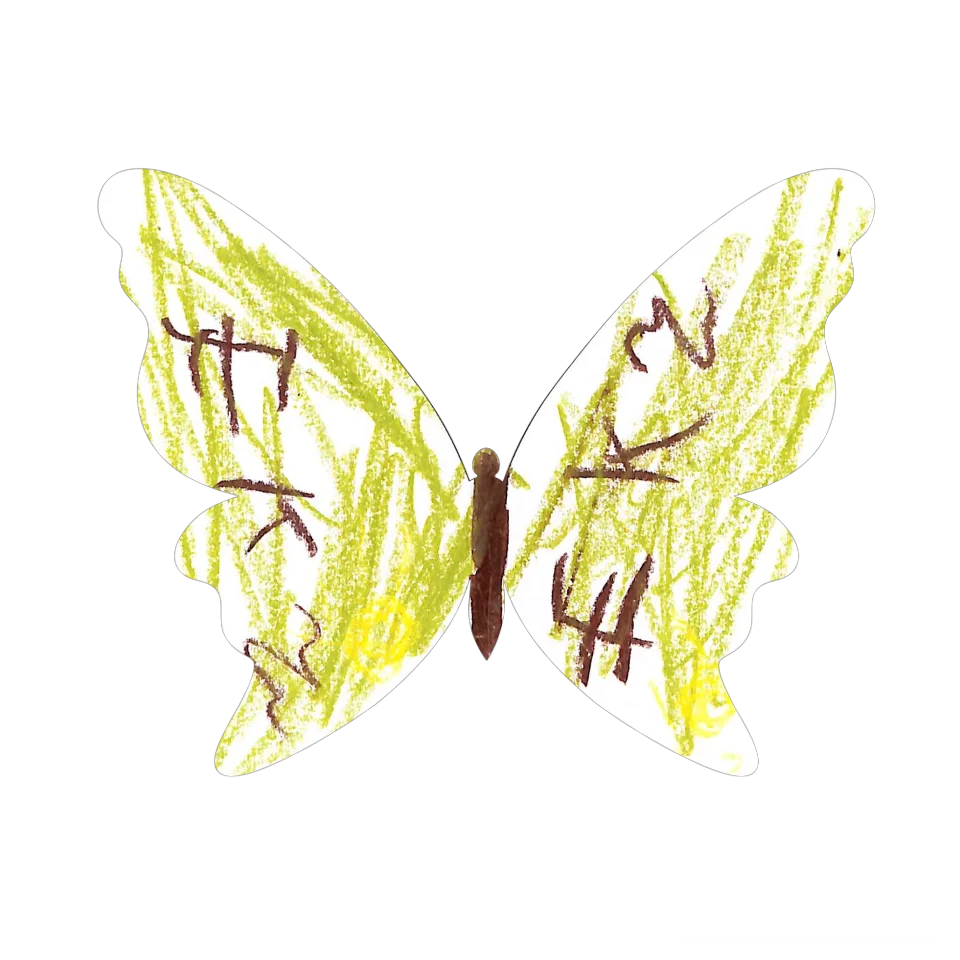 Original Butterfly Image