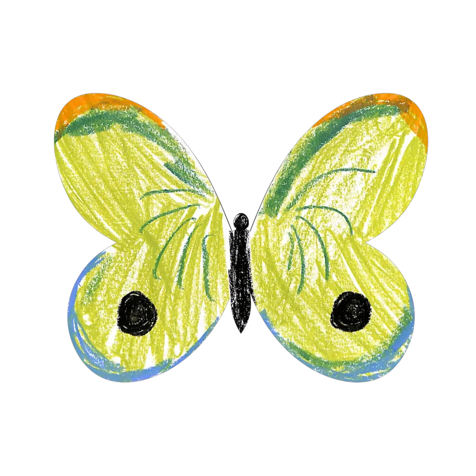 Original Butterfly Image