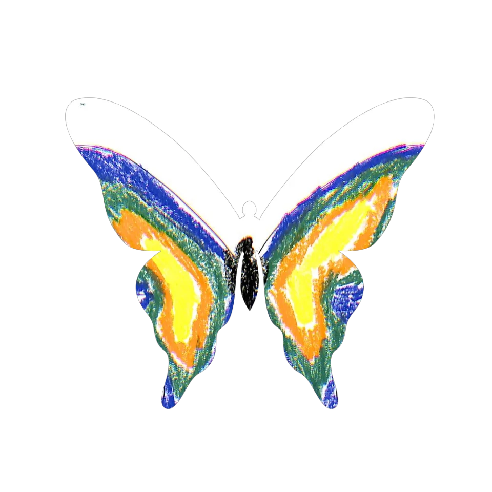 Original Butterfly Image