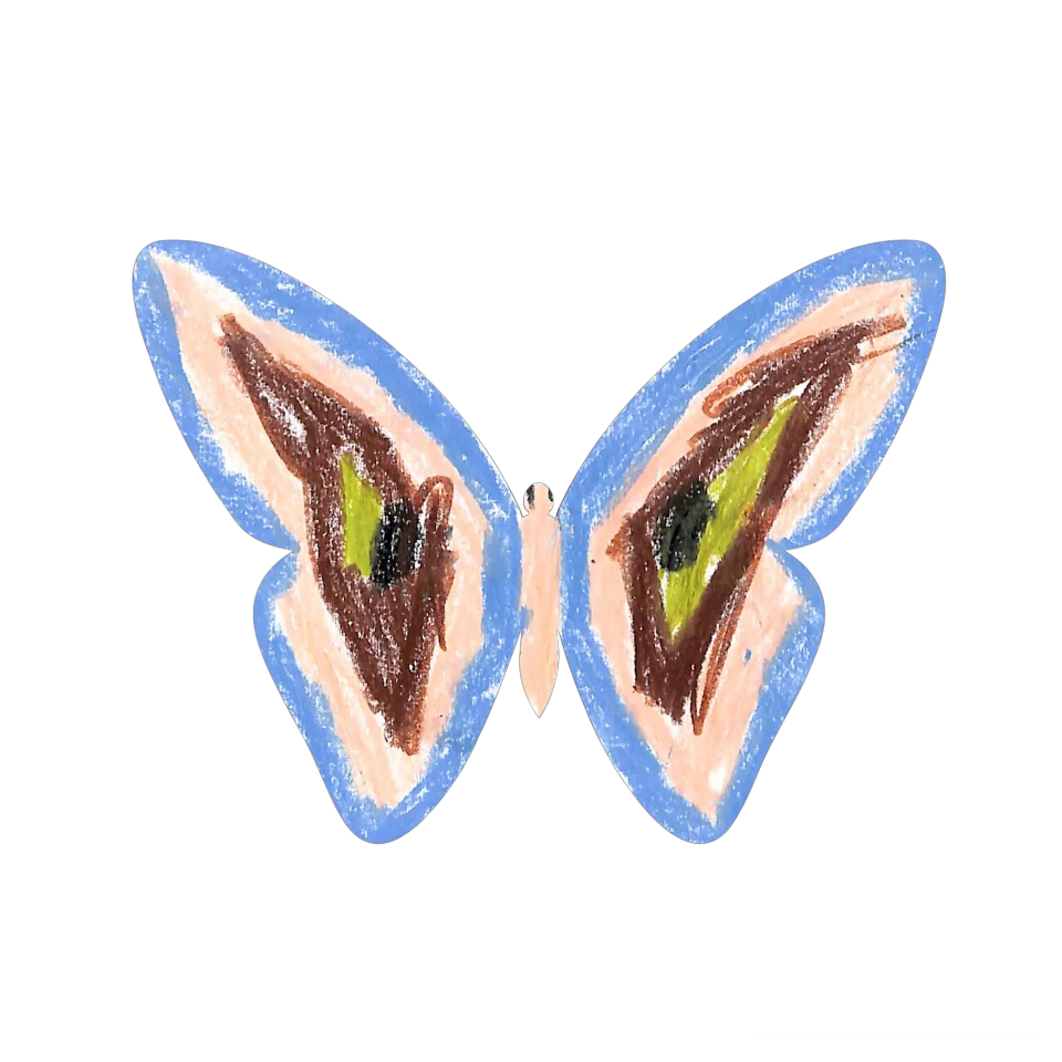 Original Butterfly Image