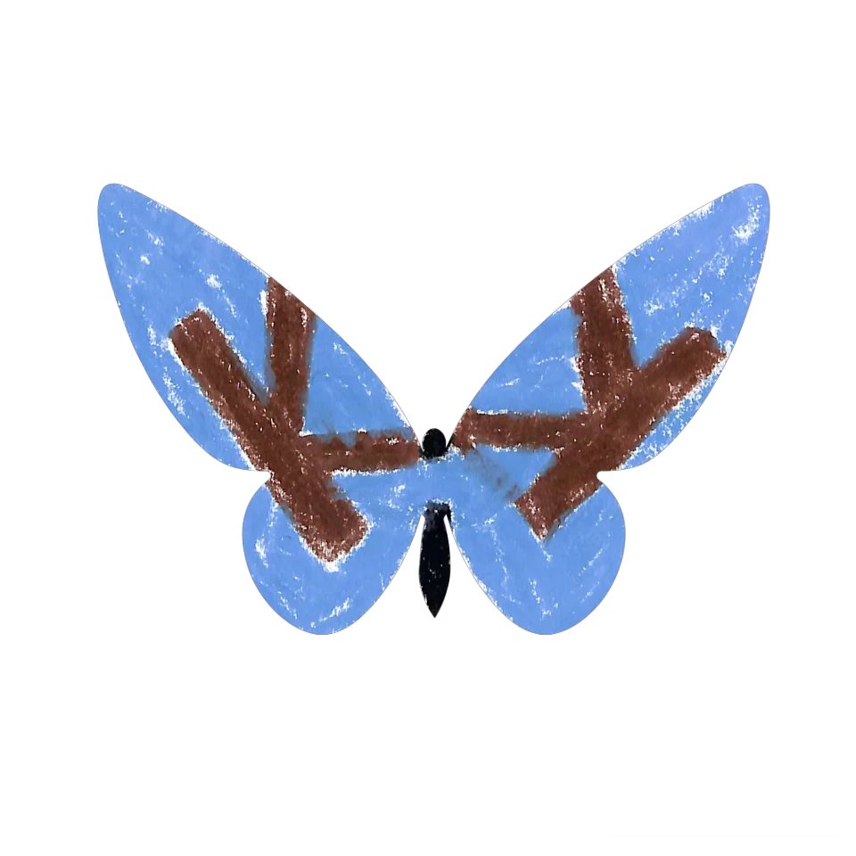Original Butterfly Image