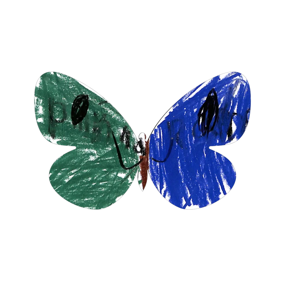 Original Butterfly Image