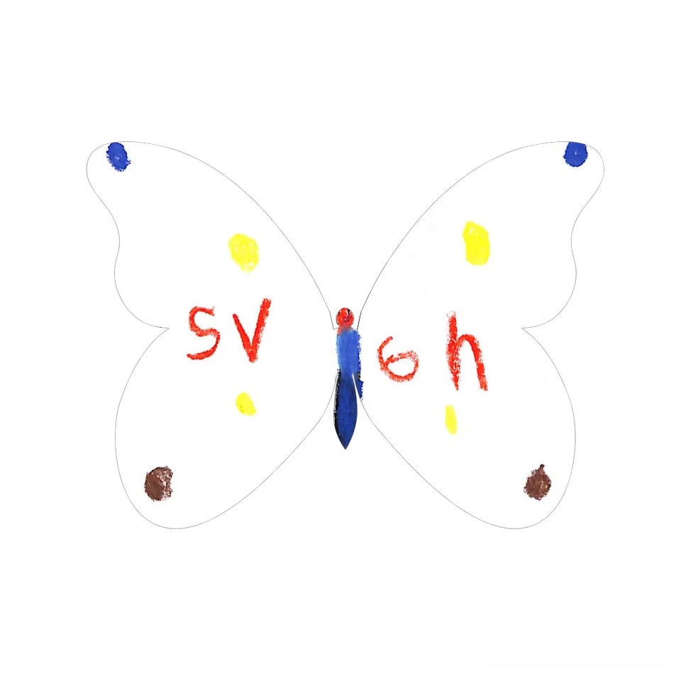 Original Butterfly Image