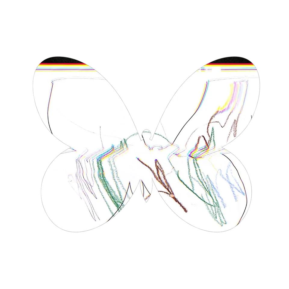 Original Butterfly Image