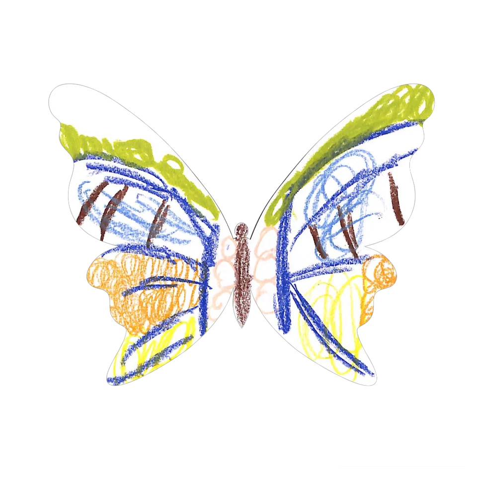 Original Butterfly Image