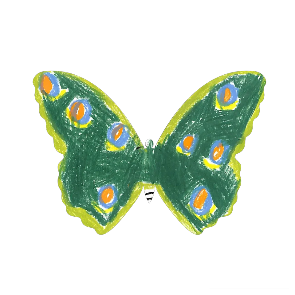 Original Butterfly Image