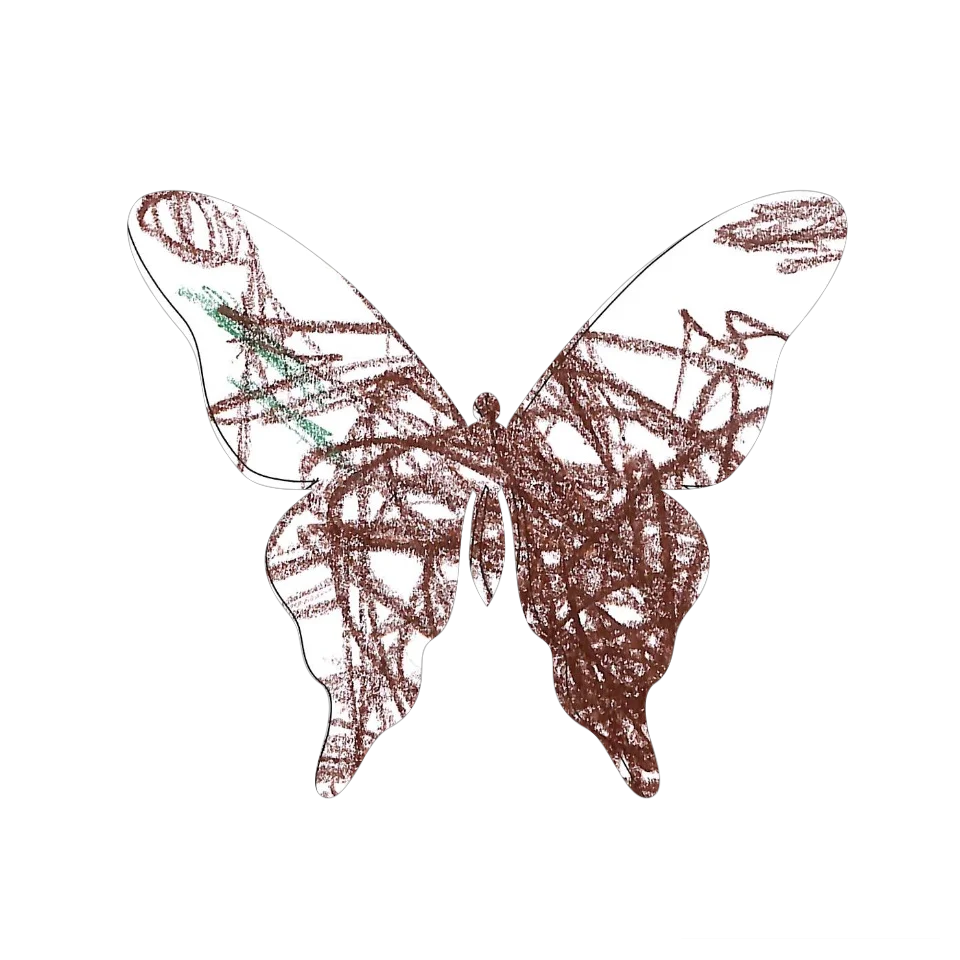 Original Butterfly Image