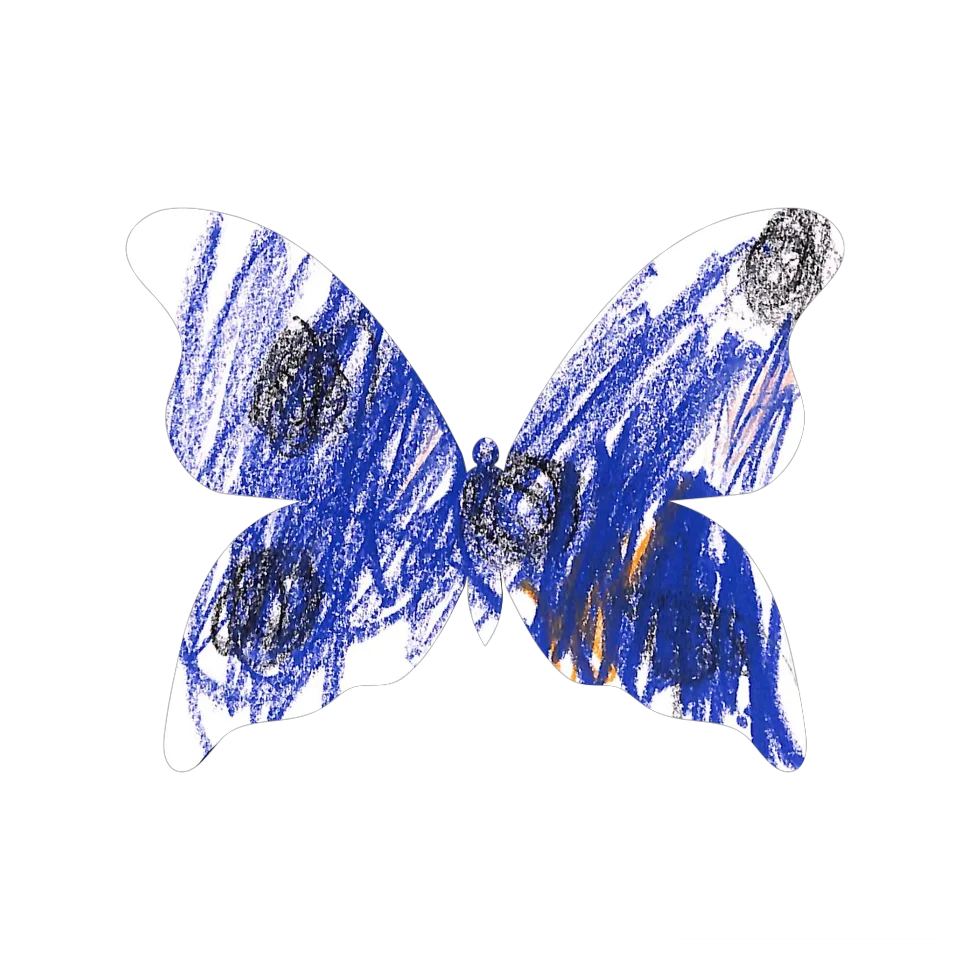 Original Butterfly Image