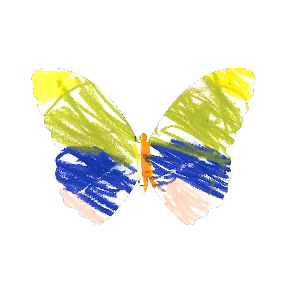 Original Butterfly Image