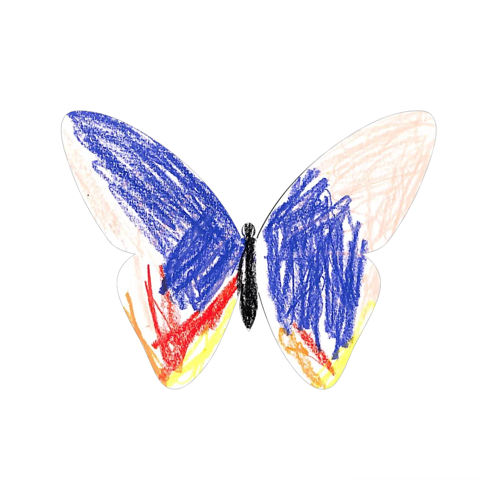 Original Butterfly Image