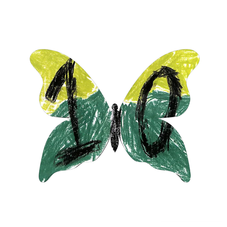 Original Butterfly Image