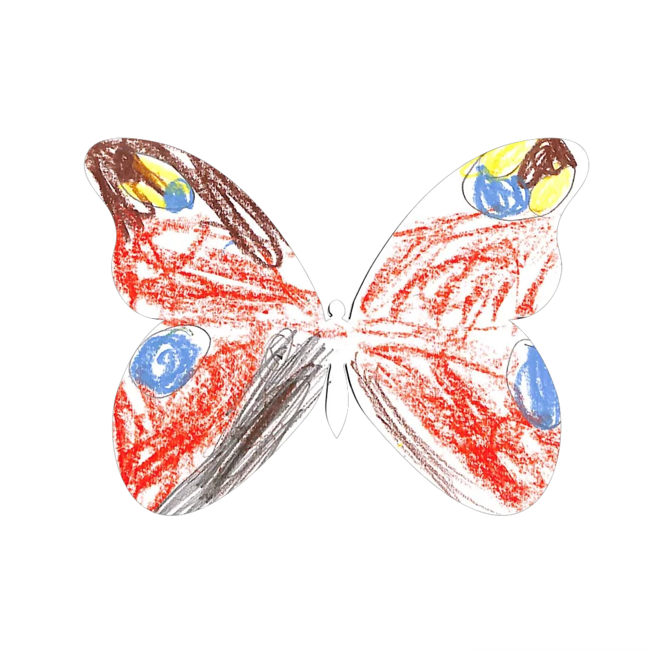 Original Butterfly Image