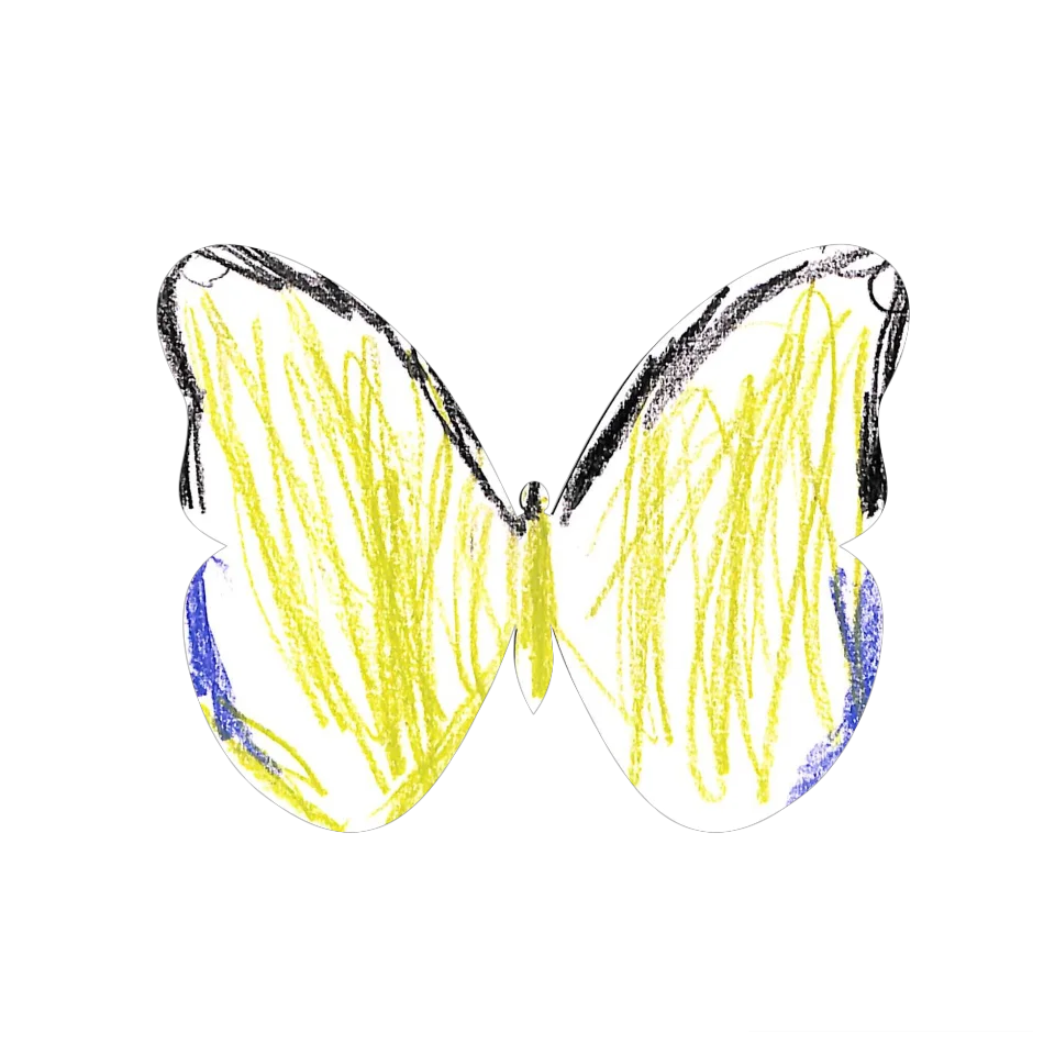 Original Butterfly Image
