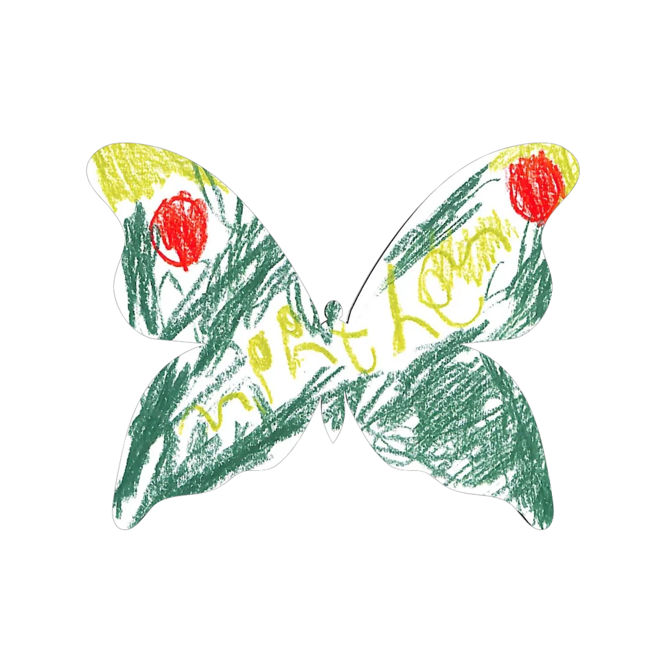 Original Butterfly Image