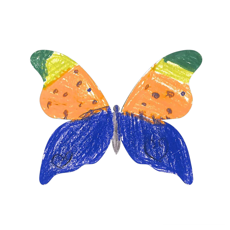 Original Butterfly Image