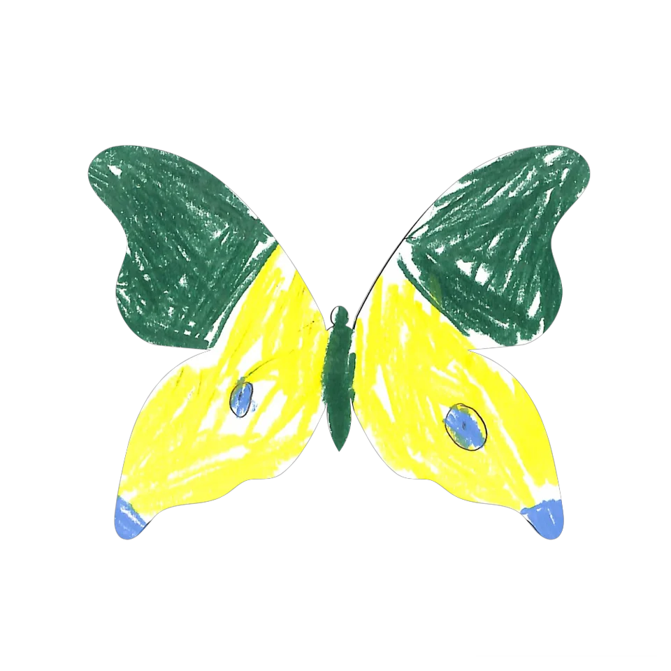 Original Butterfly Image
