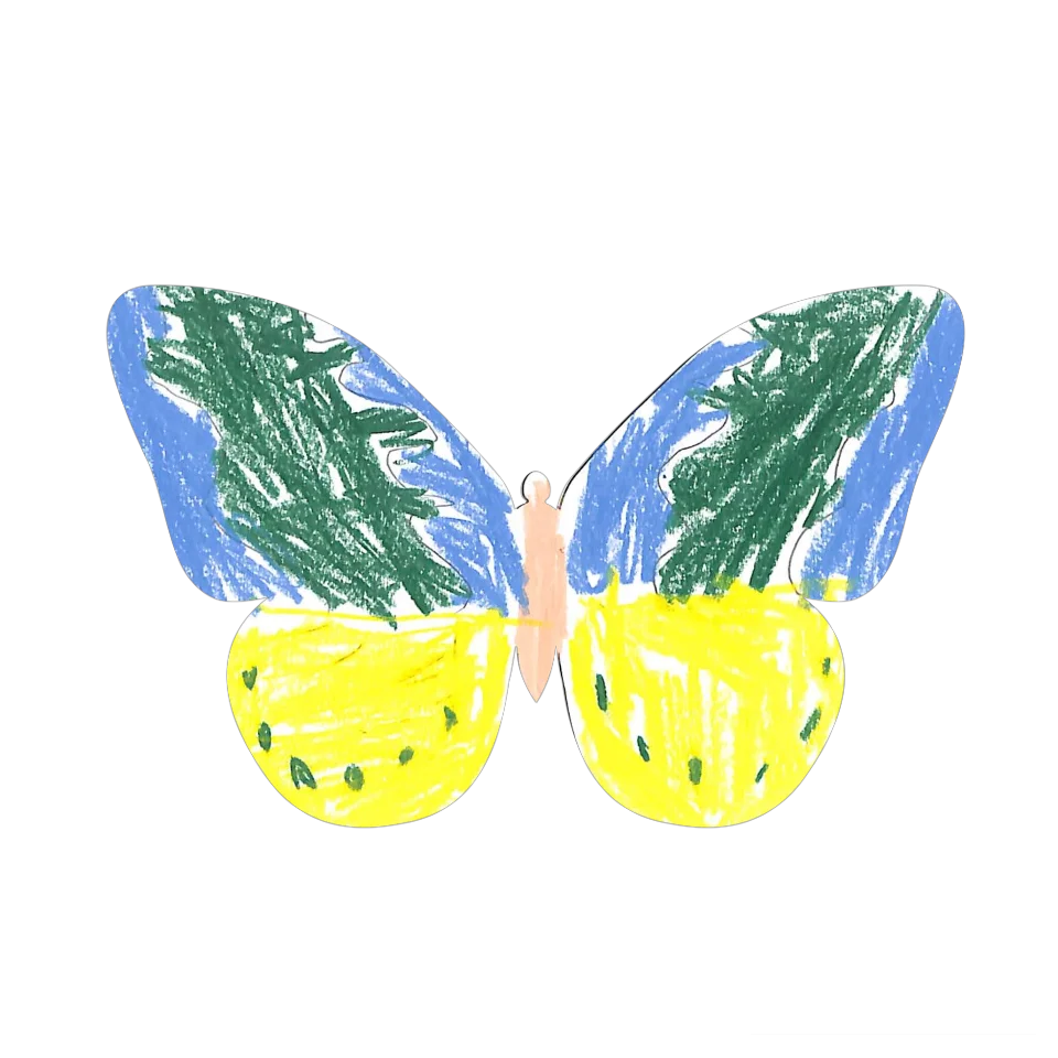 Original Butterfly Image